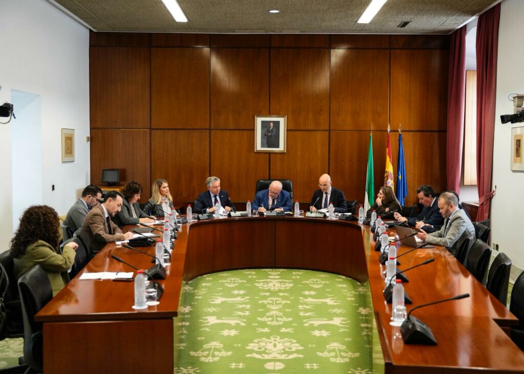 Sánchez Zamorano durante la presentación de la memoria 2024 en el Parlamento de Andalucía.