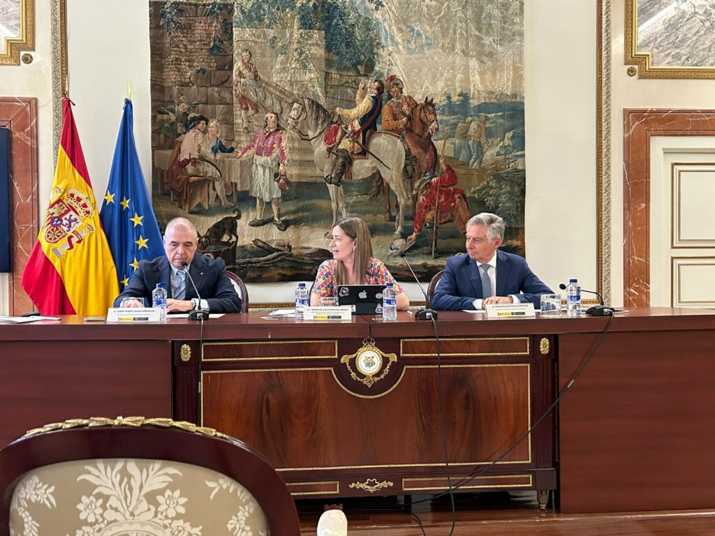 Sánchez Zamorano durante su intervención en las jornadas de la AIPI.